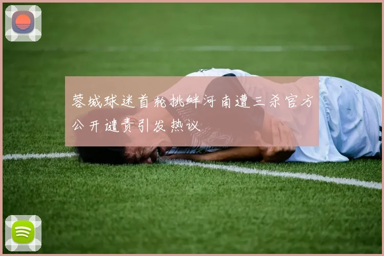 蓉城球迷首轮挑衅河南遭三杀官方公开谴责引发热议