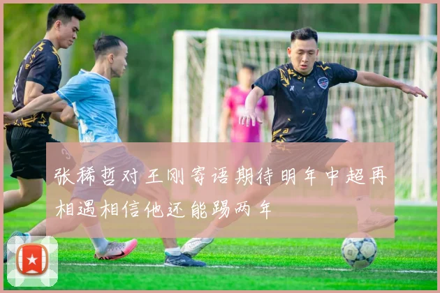 张稀哲对王刚寄语期待明年中超再相遇相信他还能踢两年